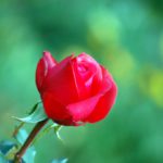 Выпуск 189. Осознанность