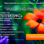 Клуб клиентов «Интеллектикс» - это сообщество умных людей, которым теперь доступны закрытые знания