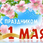 С праздником Весны и Труда!
